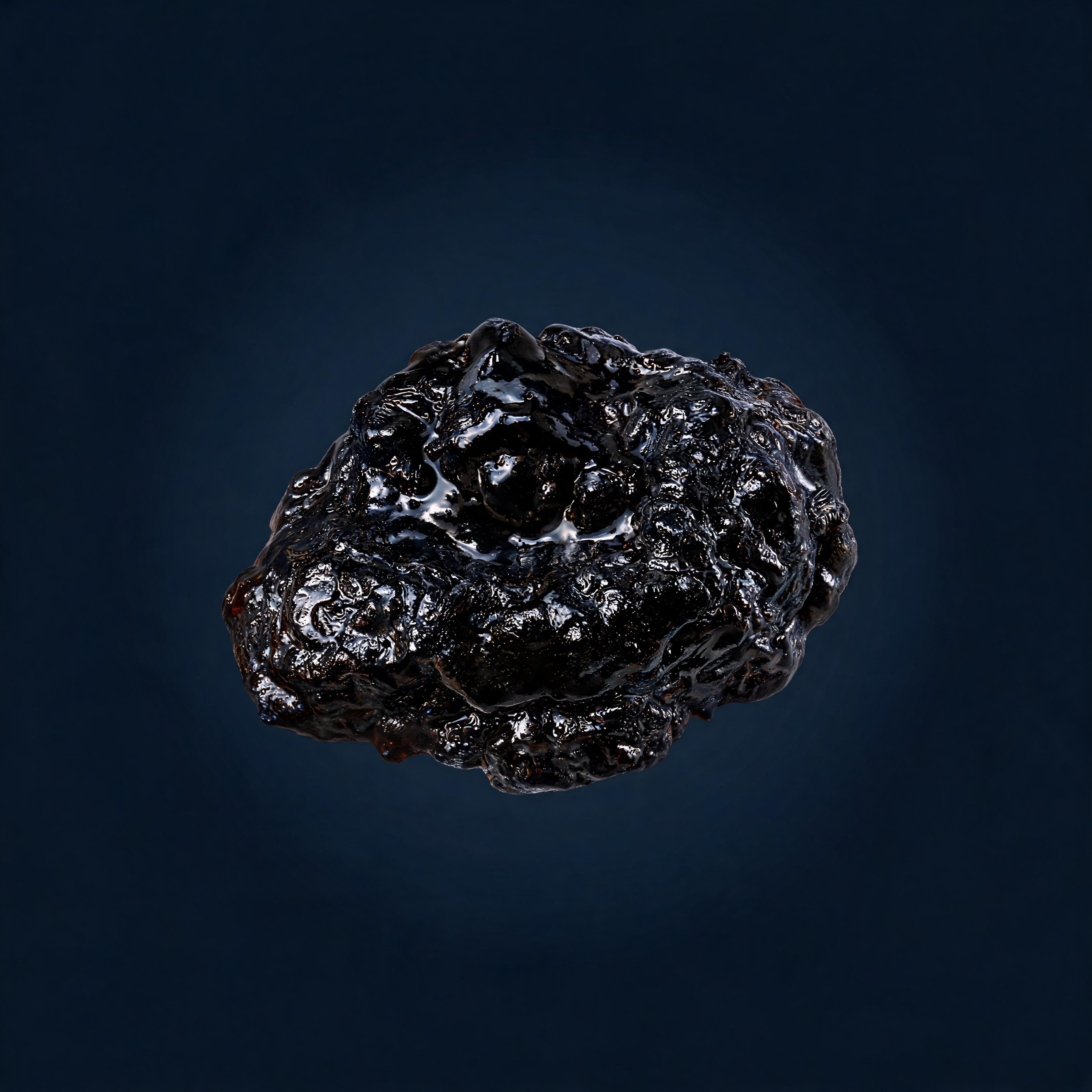 Shilajit Extract
