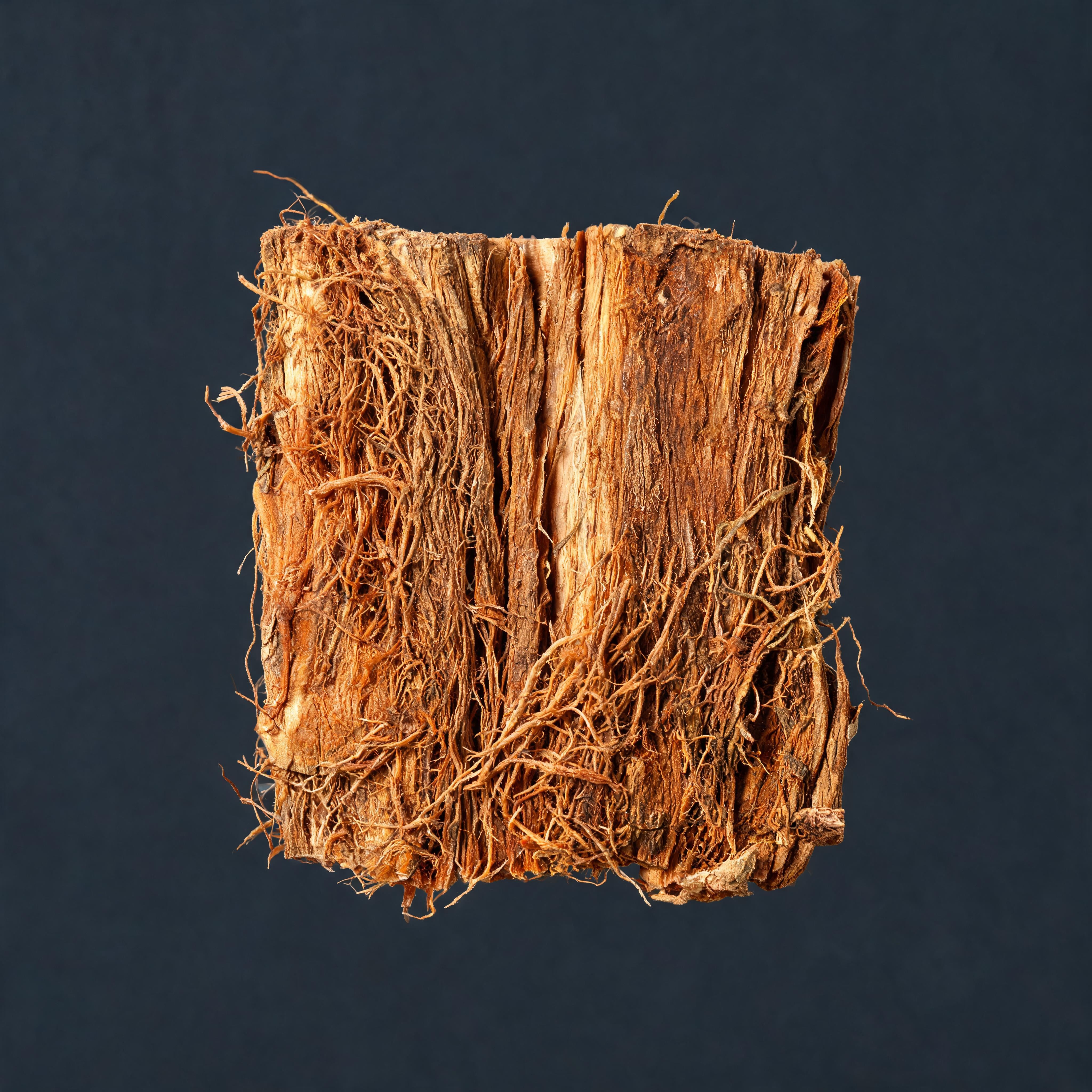 Tongkat Ali Extract